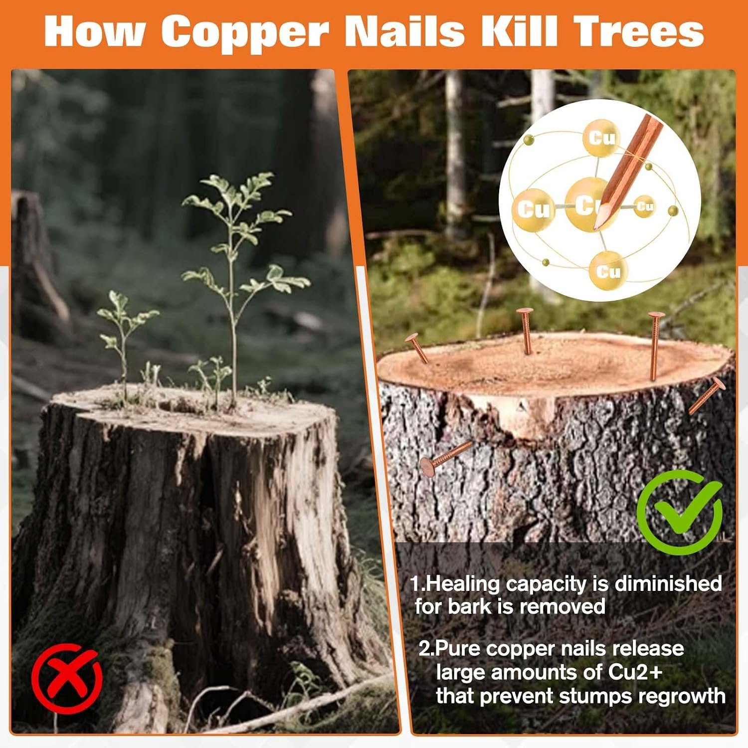 15 Pcs Copper Nails for Killing Trees Stumps Roots, 3.1 Pure Copper Nails Bulk with HSS Drill Bit and Storage Box, Heavy-Duty Stump Removal Spikes Hardware Nail for Landscaping Gardening 15 Pcs Copper Nails for Killing Trees Stumps Roots, 3.1 Pure Copper Nails Bulk with HSS Drill Bit and Storage Box, Heavy-Duty Stump Removal Spikes Hardware Nail for Landscaping Gardening