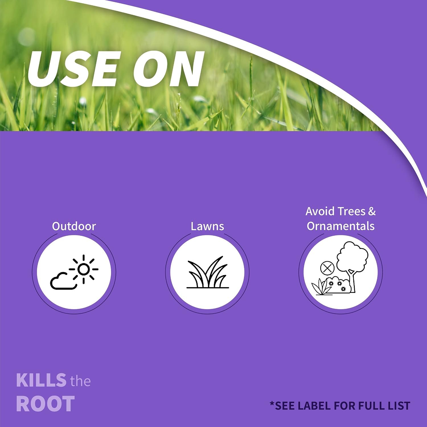 Bonide Sedge Ender, oz Concentrated Weed Killer For Outdoors