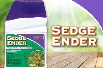 Bonide Sedge Ender, 16 oz Concentrated Weed Killer For Outdoors