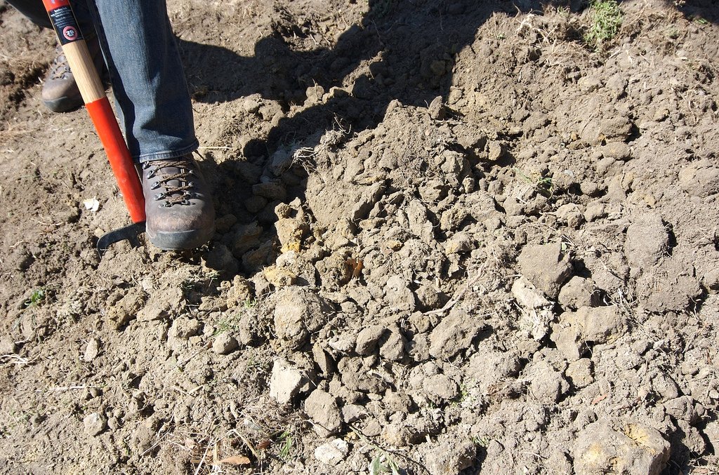 Can I Use A Septic System For A Property With Clay Soil?