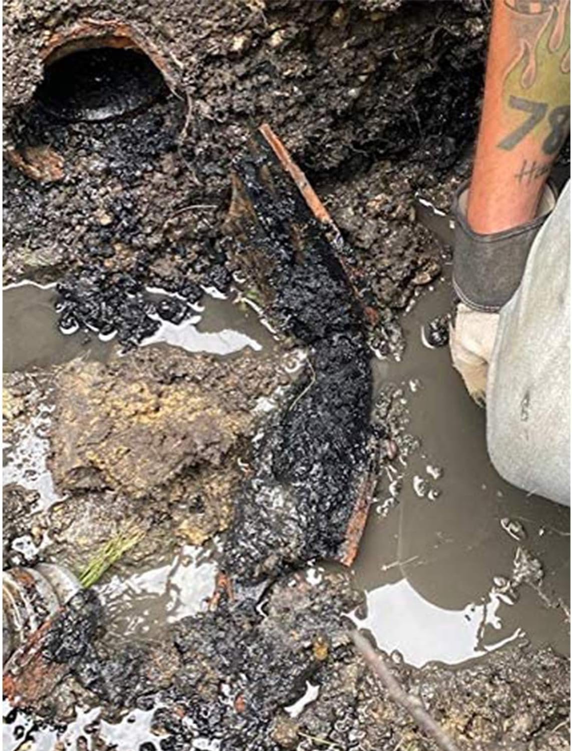DrainFix  Septic Restorer - 32 fl oz.- Patented Bac Enzyme Exxon Valdez Septic Tank Treatment Septic Problem Rescue Drainfield Restoration Drain Cleaner - Eliminates All Septic  Drain Problems…