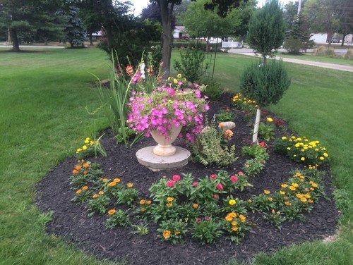 Is It Safe To Plant Trees Near A Septic Tank?